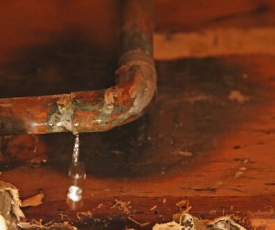 Small plumbing leak drips from a rusty pipe onto wood.