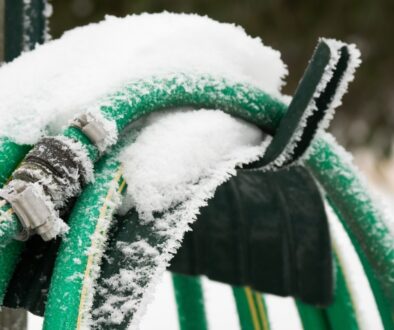 Snow-covered garden hose left connected outdoors after plumbing winterization was forgotten.